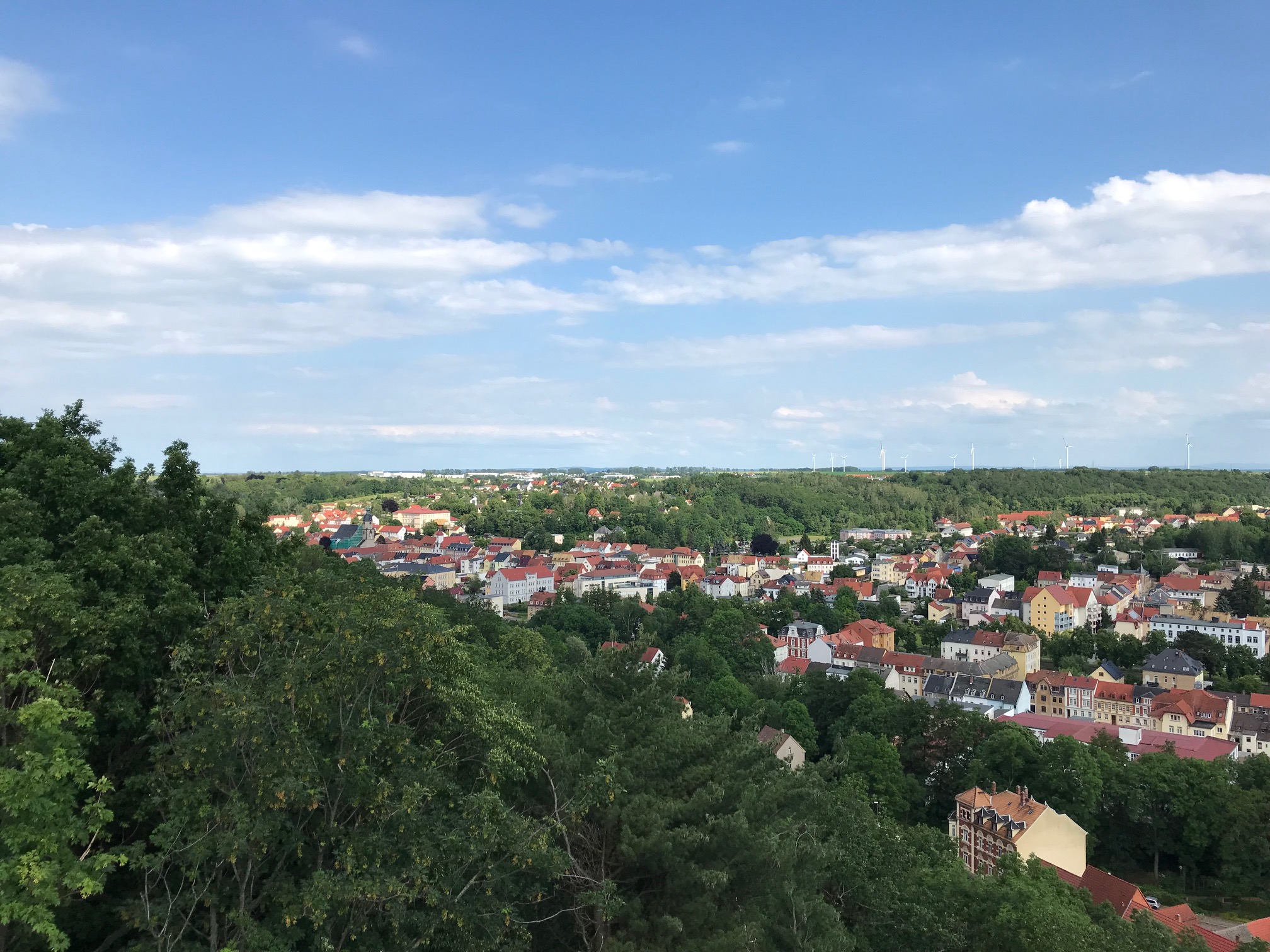 Aussicht vom Ernst-Agnes-Turm in Schmölln